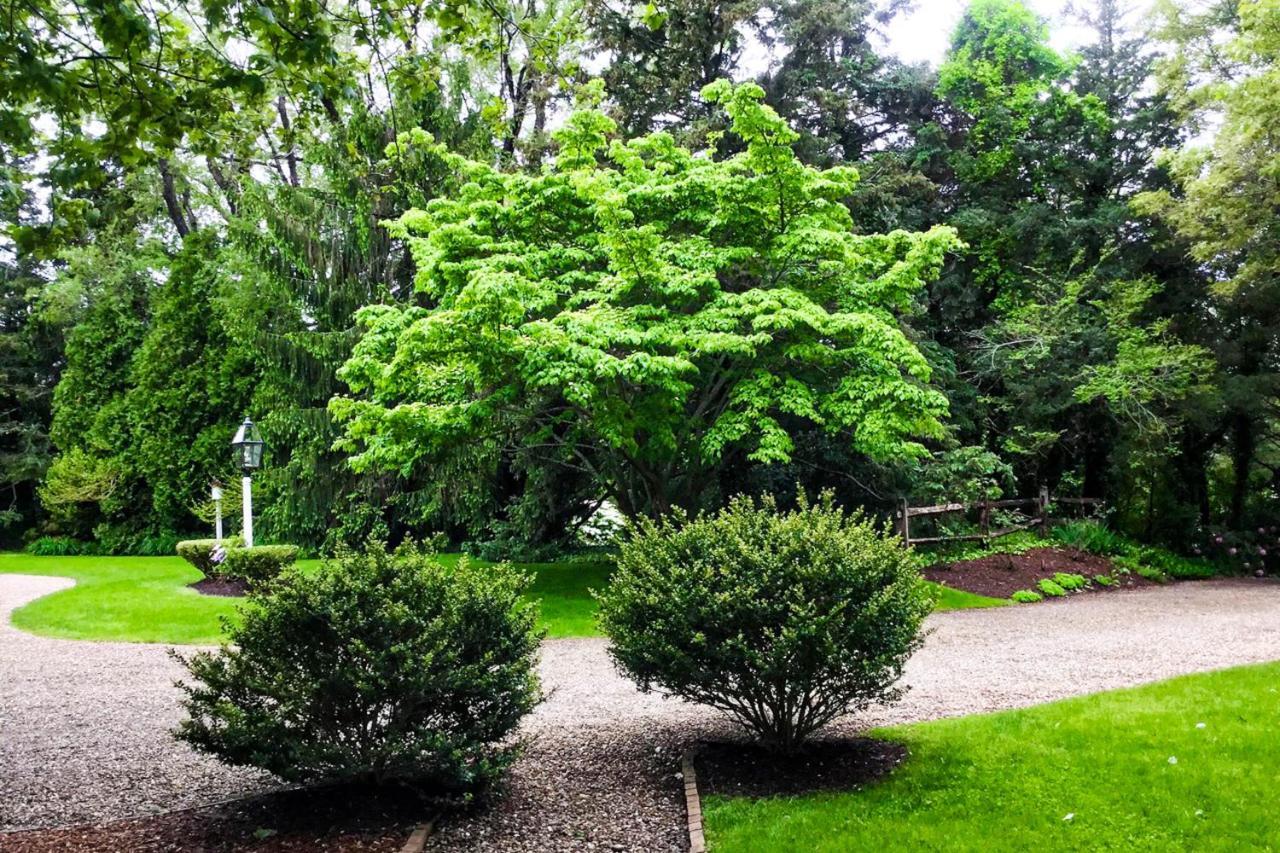 Villa Lily Hill Vineyard Haven Esterno foto