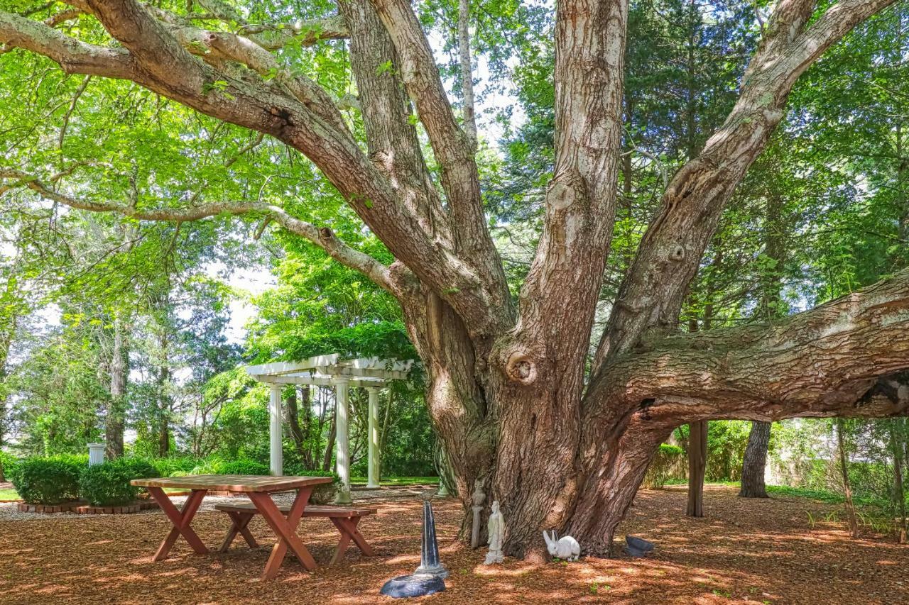 Villa Lily Hill Vineyard Haven Esterno foto